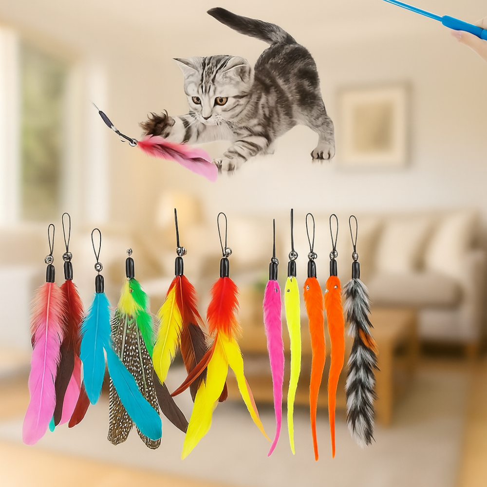 Set of 12 interactive cat toys with feathers and sticks