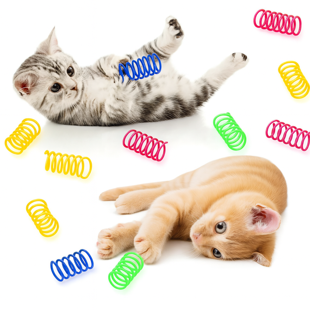 Spring toys for cats – Set of 16 interactive coloured plastic spirals