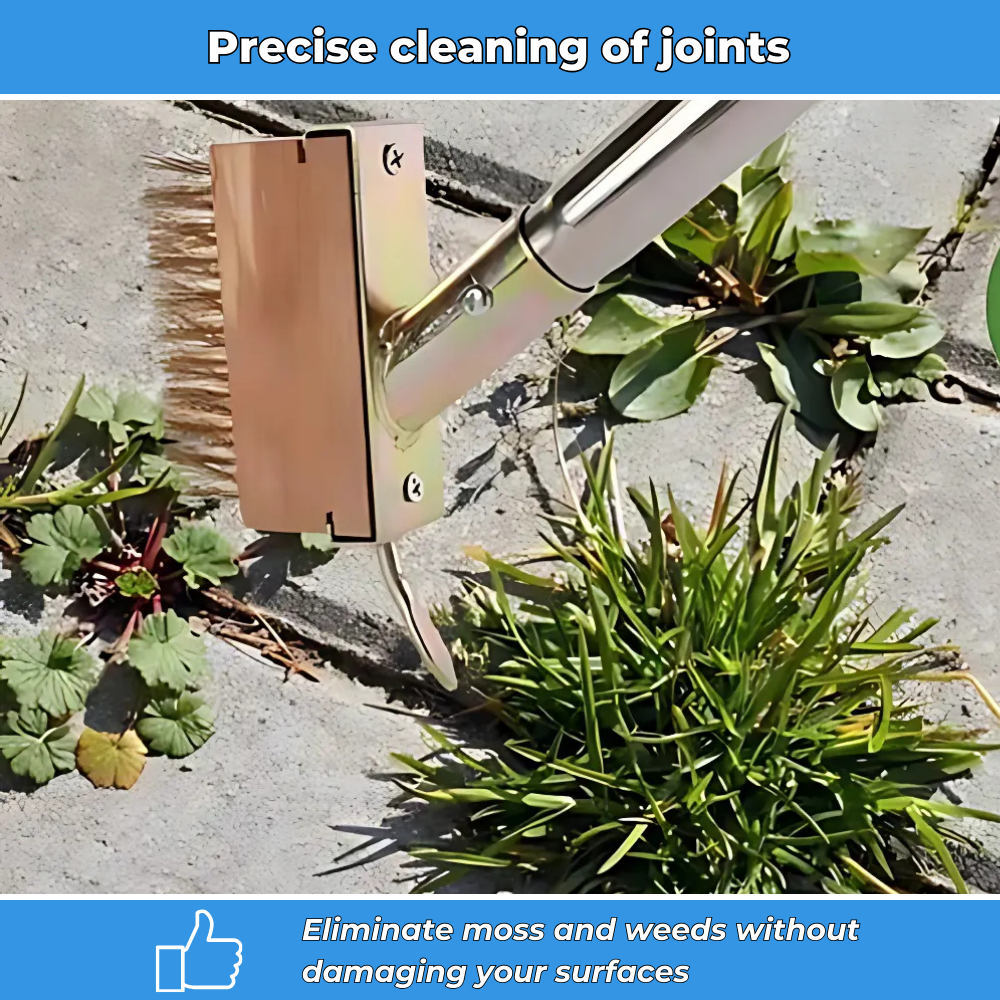 Weed Remover Tool with V-shaped Wire Brush & Blade Scraper