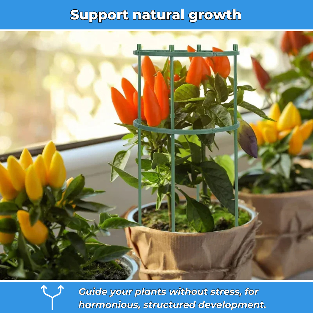 Flexible support rings for plants