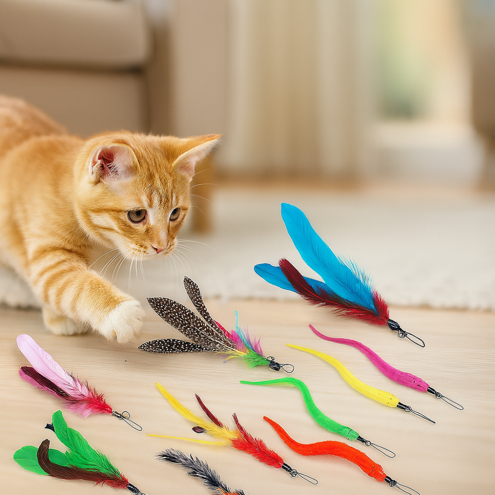 Set of 12 interactive cat toys with feathers and sticks