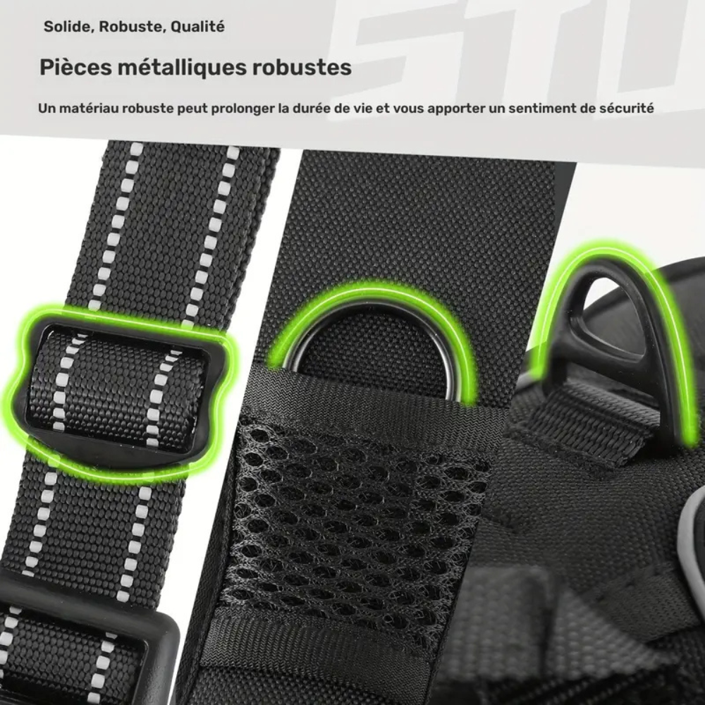 Dog escape-proof harness + lead and dispenser – adjustable and reflective