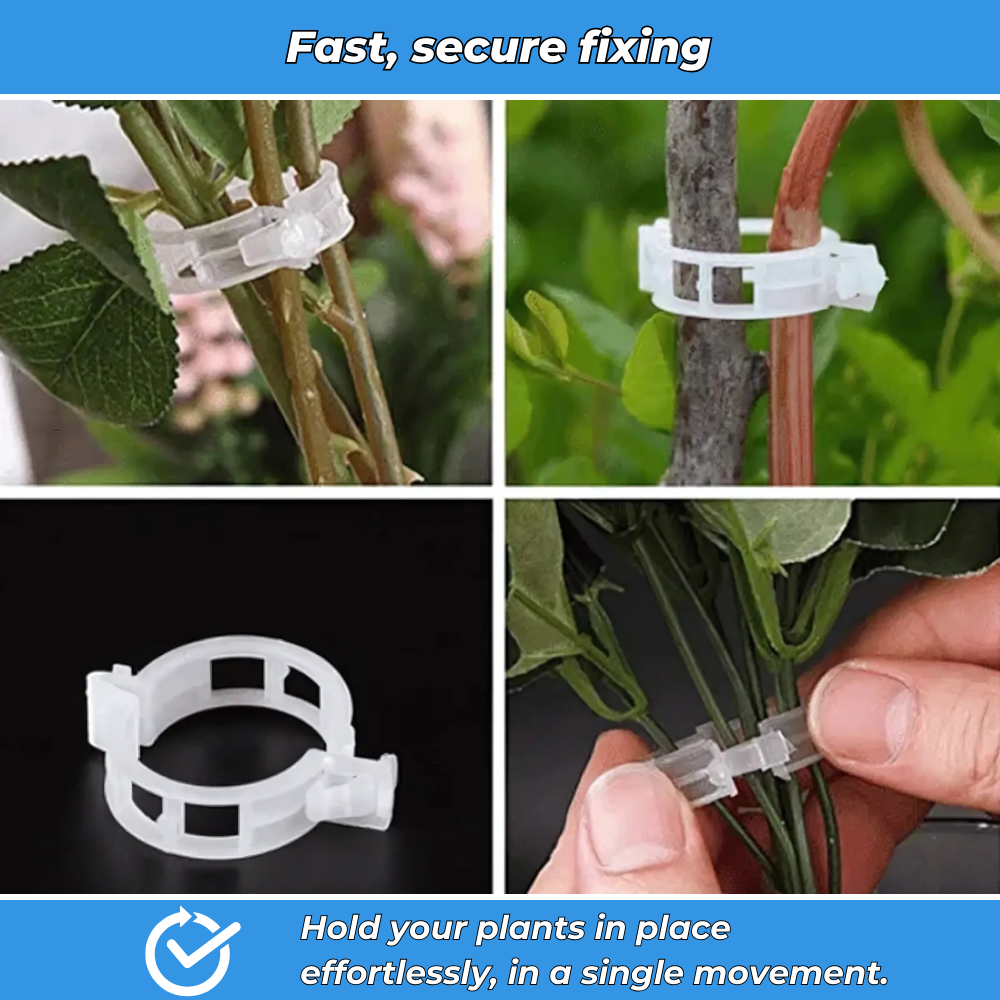 Set of 100 reusable plastic clips