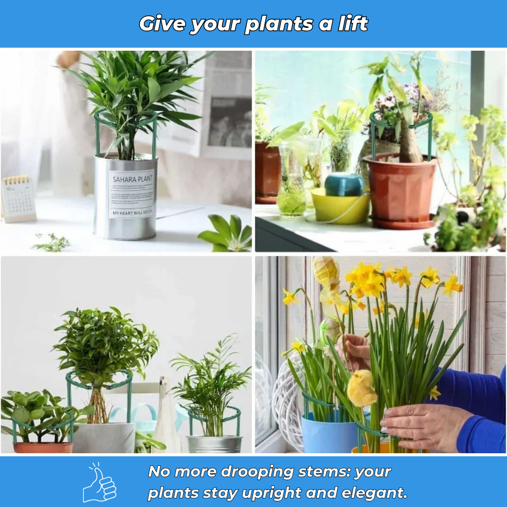 Flexible support rings for plants