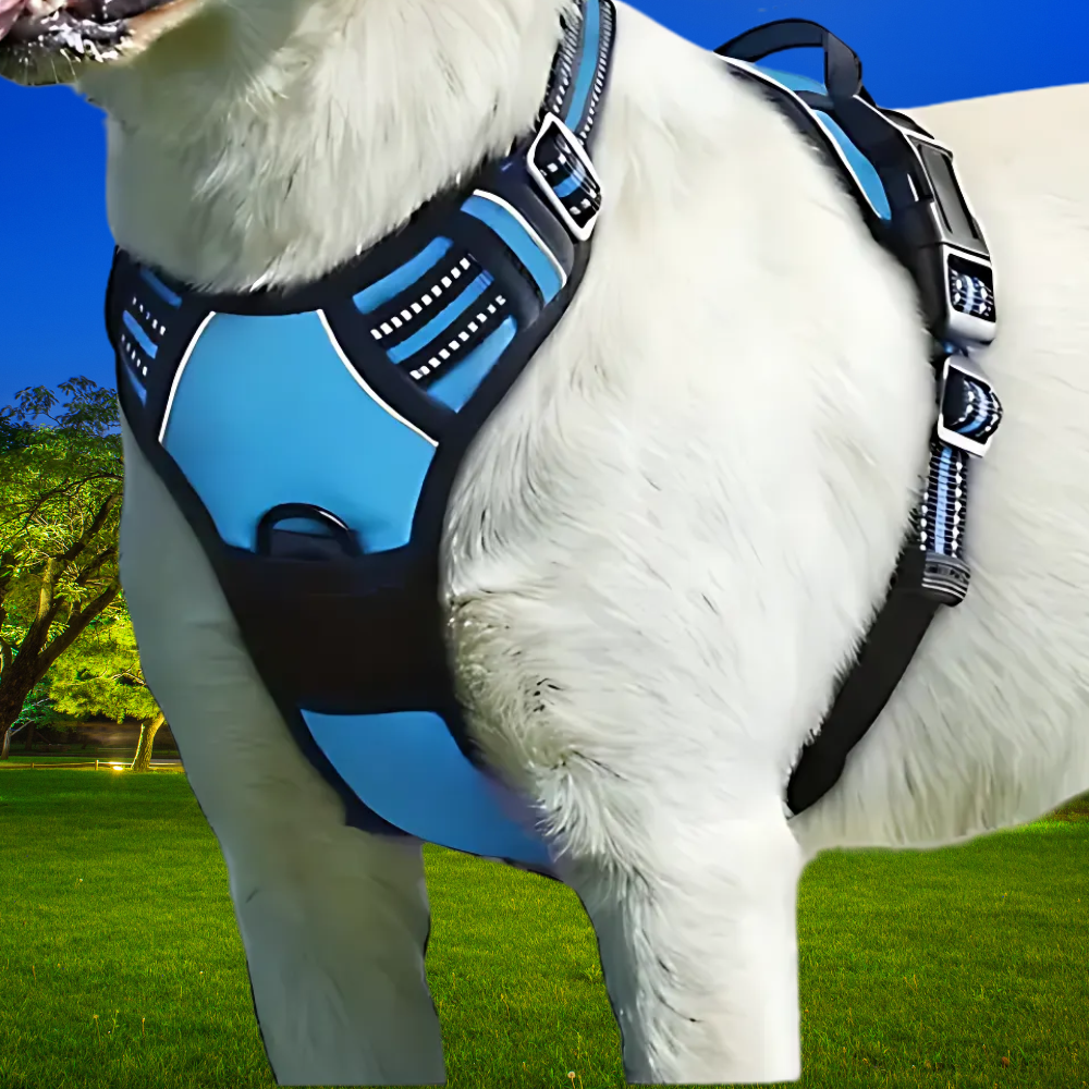 Dog escape-proof harness + lead and dispenser – adjustable and reflective