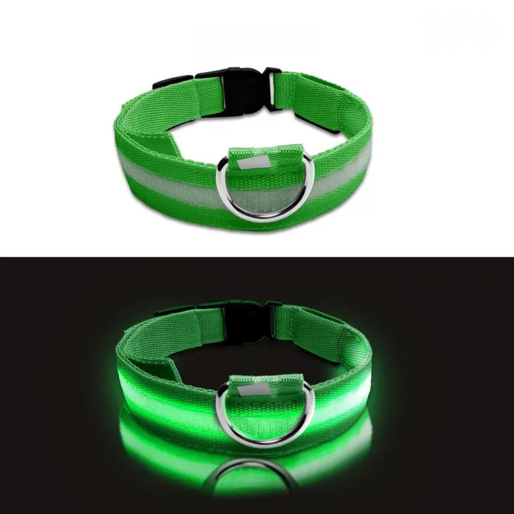LED Light-Up Dog Collar