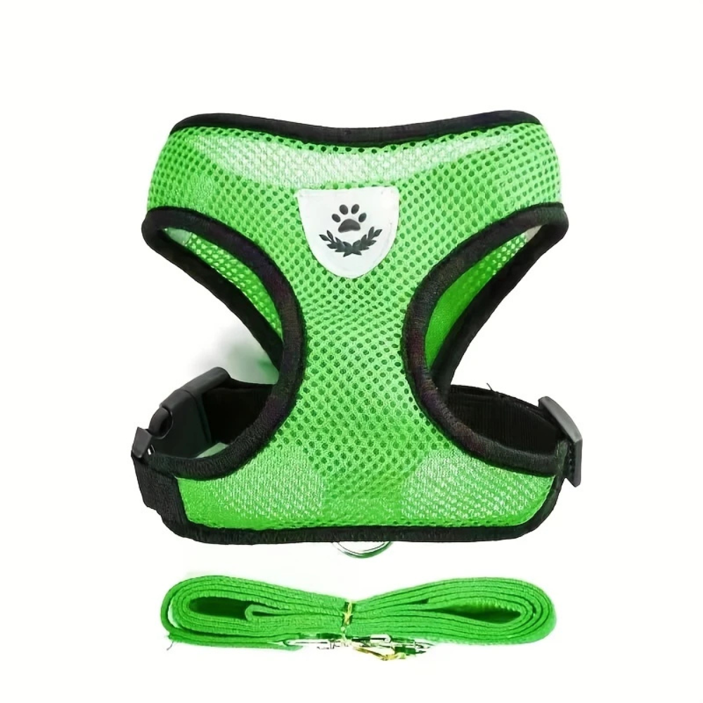 Secure Harness with Lead for Adventurous Cats