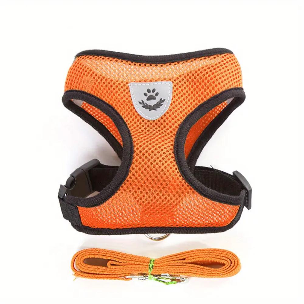 Secure Harness with Lead for Adventurous Cats