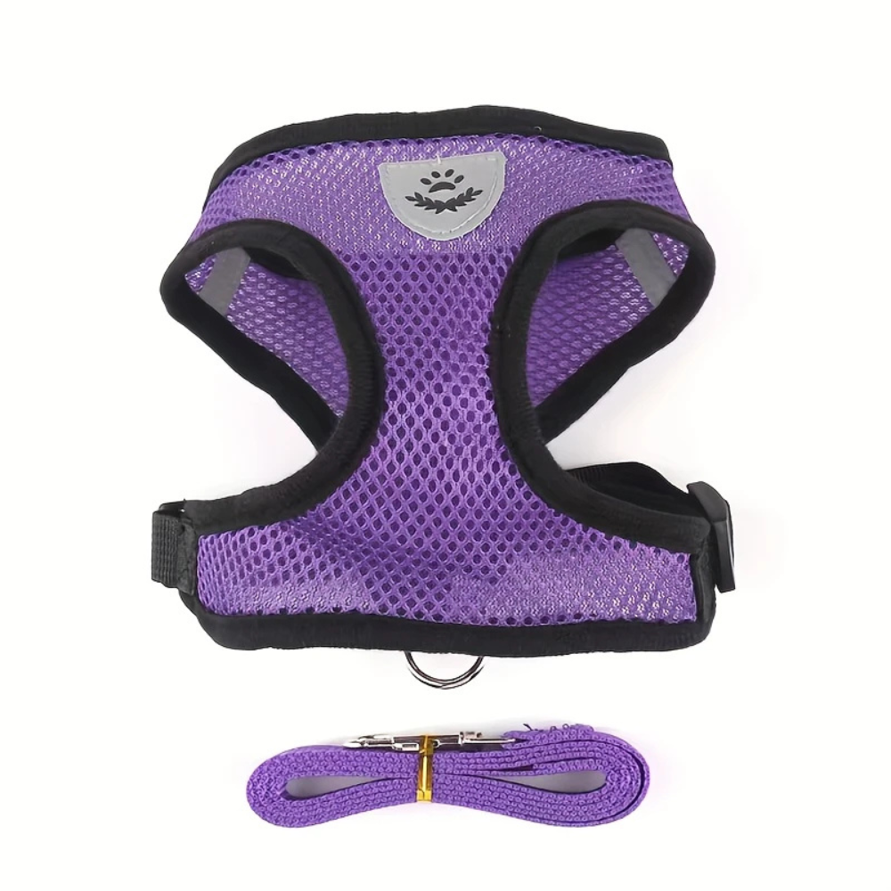 Secure Harness with Lead for Adventurous Cats