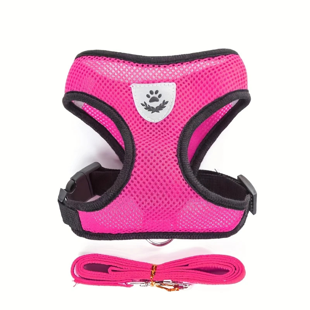 Secure Harness with Lead for Adventurous Cats