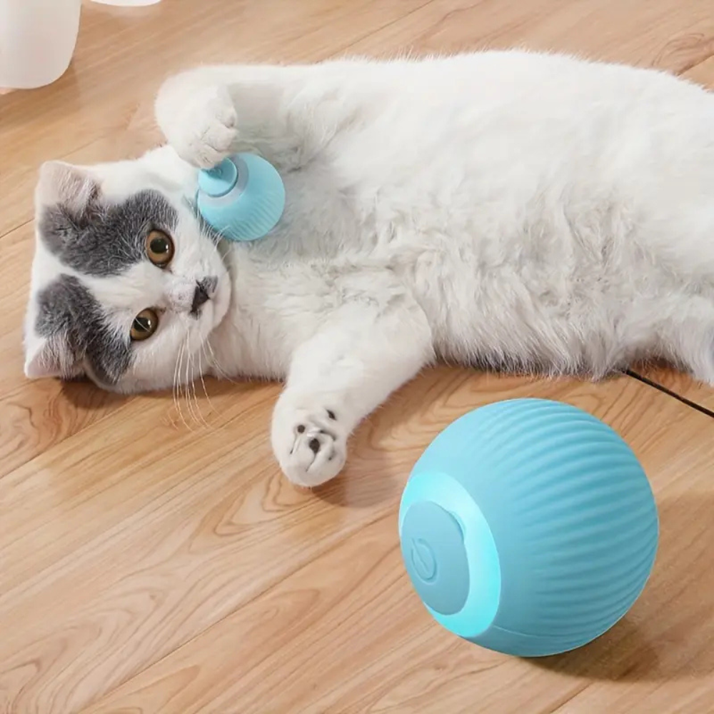 Automatic Interactive Ball for Playful Cats
