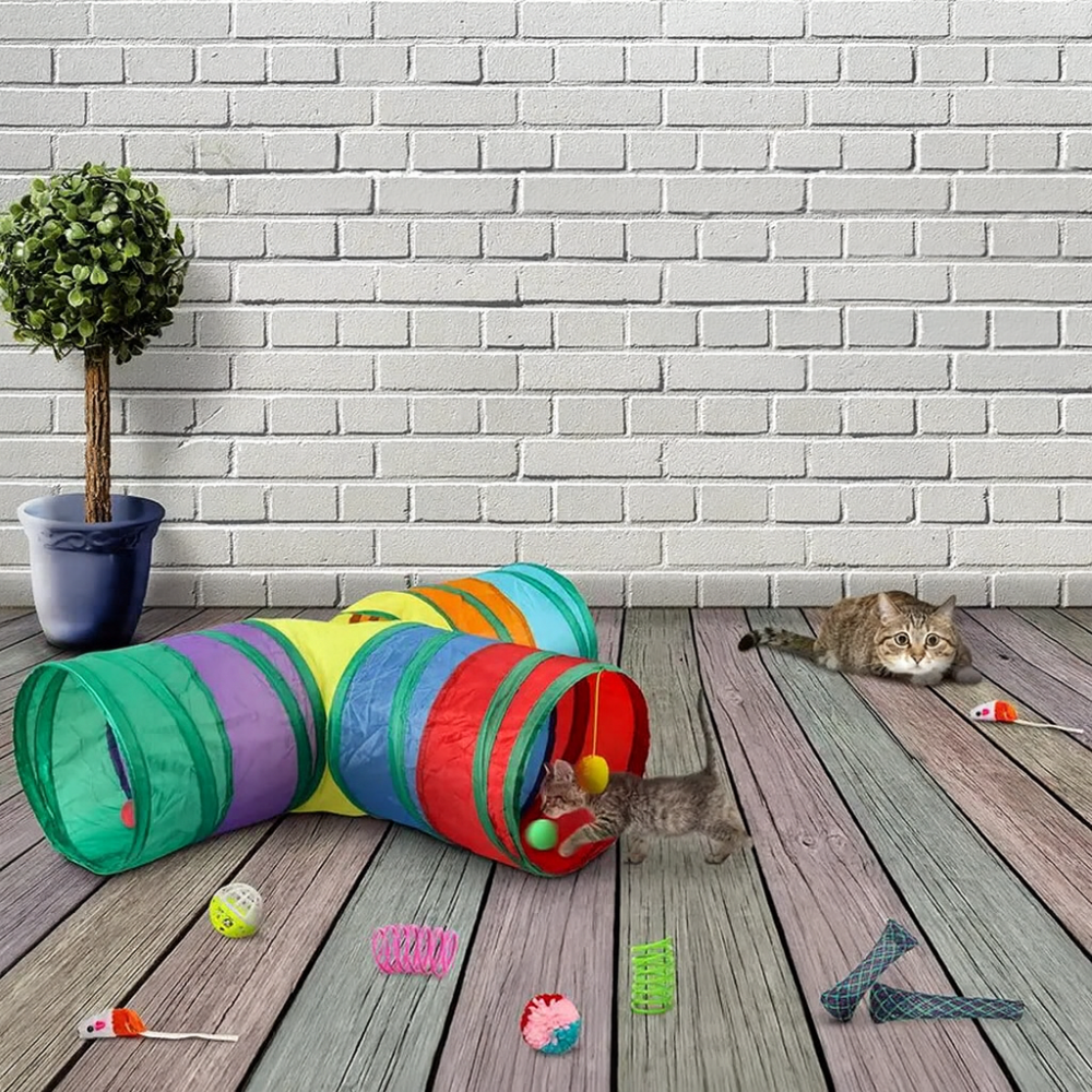 Interactive Cat Toy Set