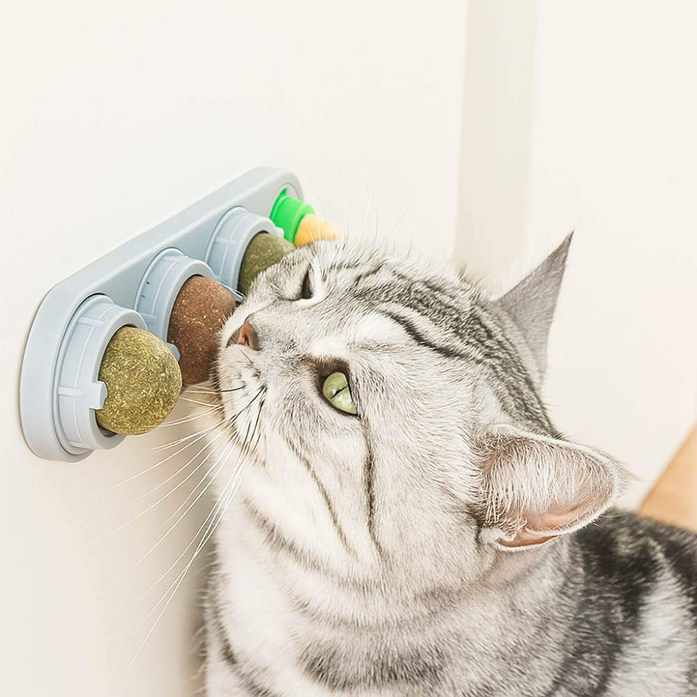 VetCat – Wall-Mounted Cat Toy with Natural Herbs