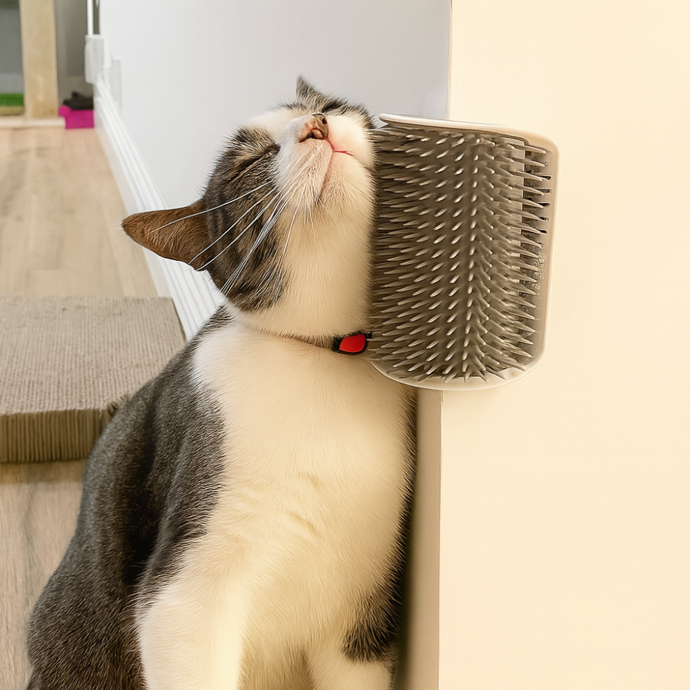 Wall-Mounted Cat Massage Brush
