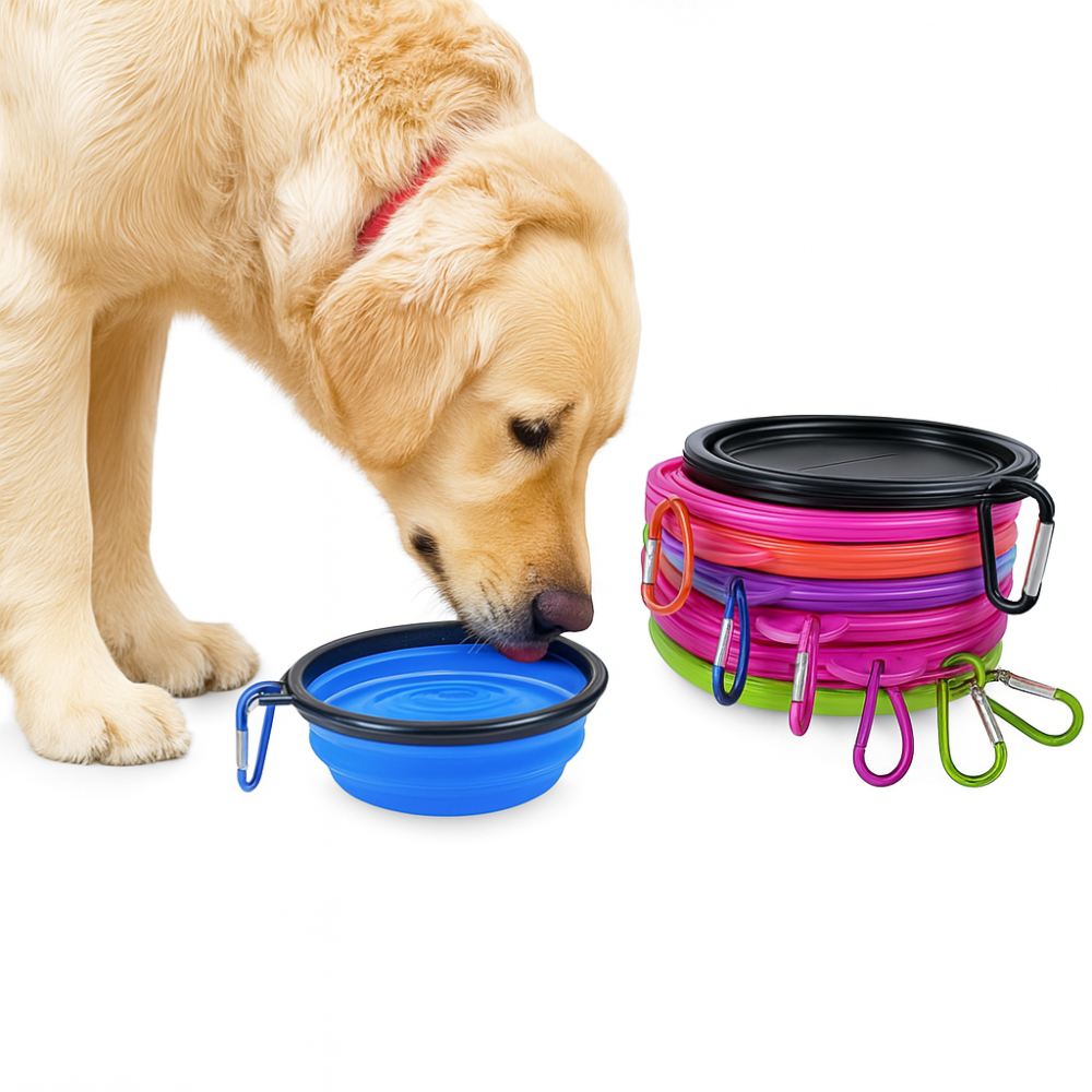 Foldable bowl for dogs and cats