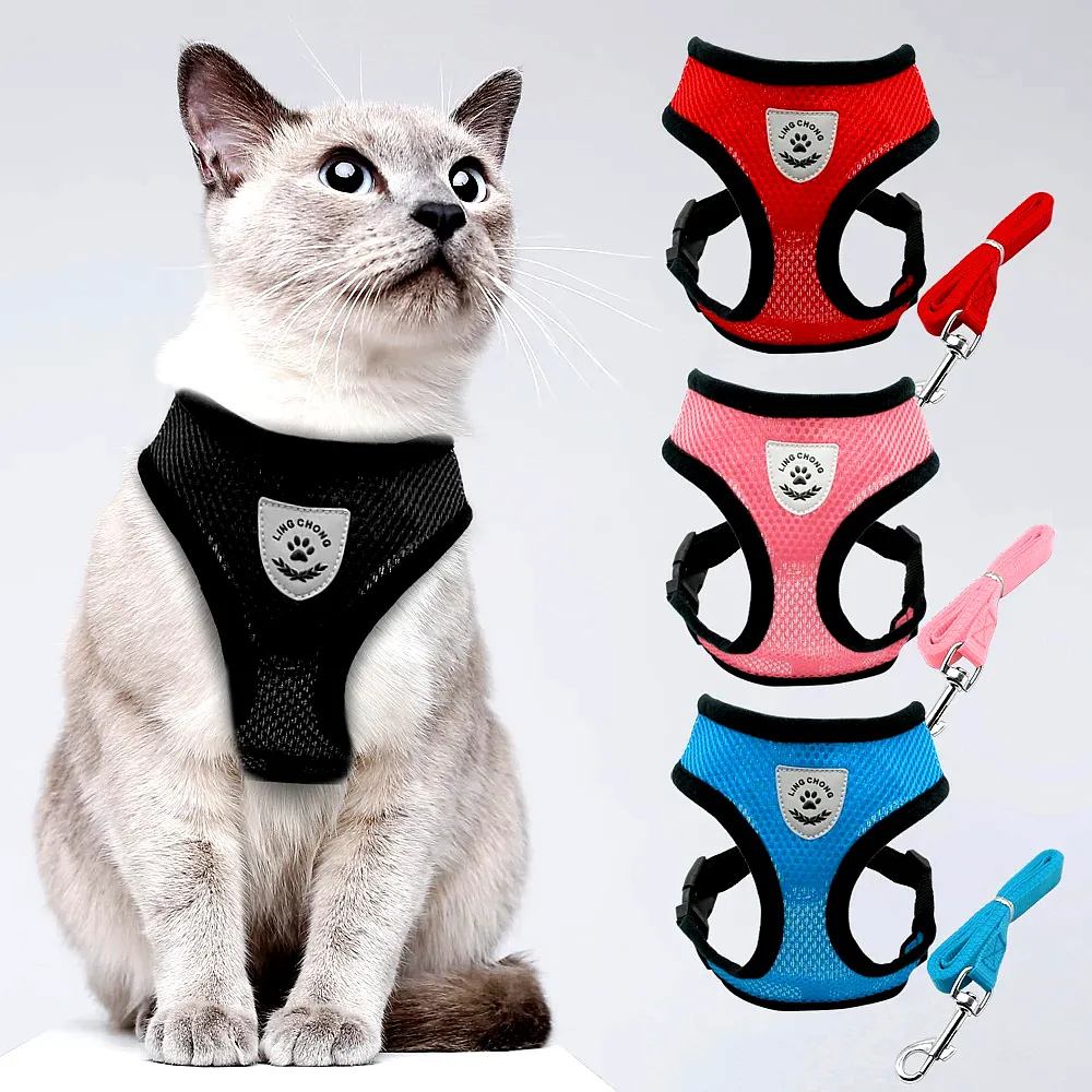 Secure Harness with Lead for Adventurous Cats