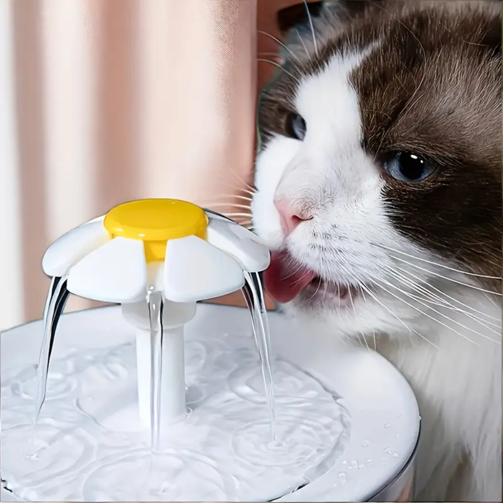 AquaCat – Fresh Water Filtering Fountain for Cats