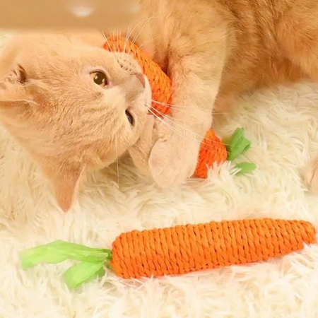 Set of 2 interactive carrot cat toys with built-in bell