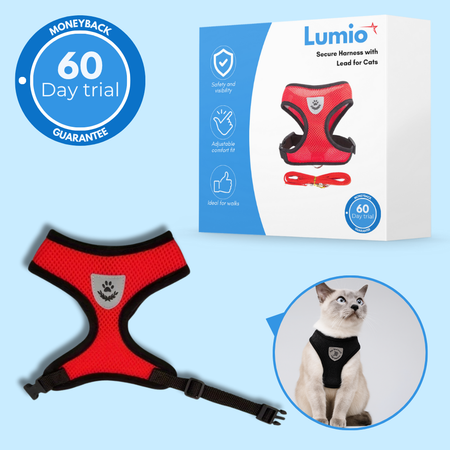 Secure Harness with Lead for Adventurous Cats