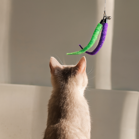 Set of 12 interactive cat toys with feathers and sticks