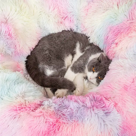 Warm, foldable plush tunnel for cats and small animals