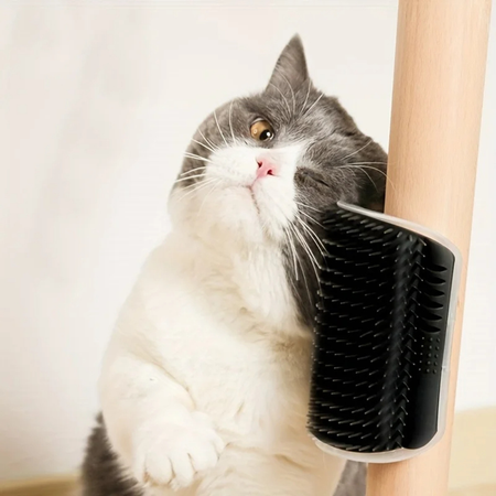 Wall-Mounted Cat Massage Brush