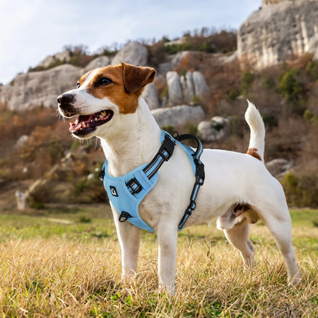 Adjustable anti-escape dog harness + 1.5 m reflective lead