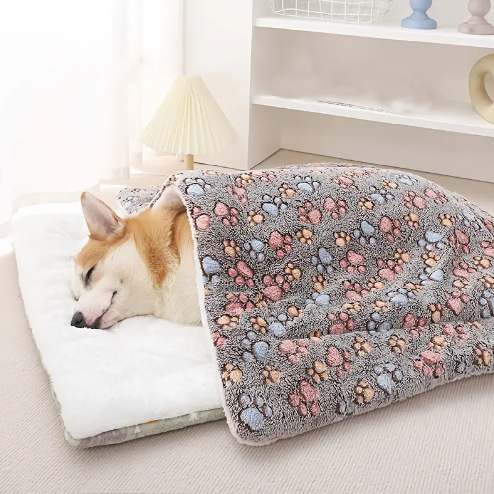 Thick & Warm Pet Cushion