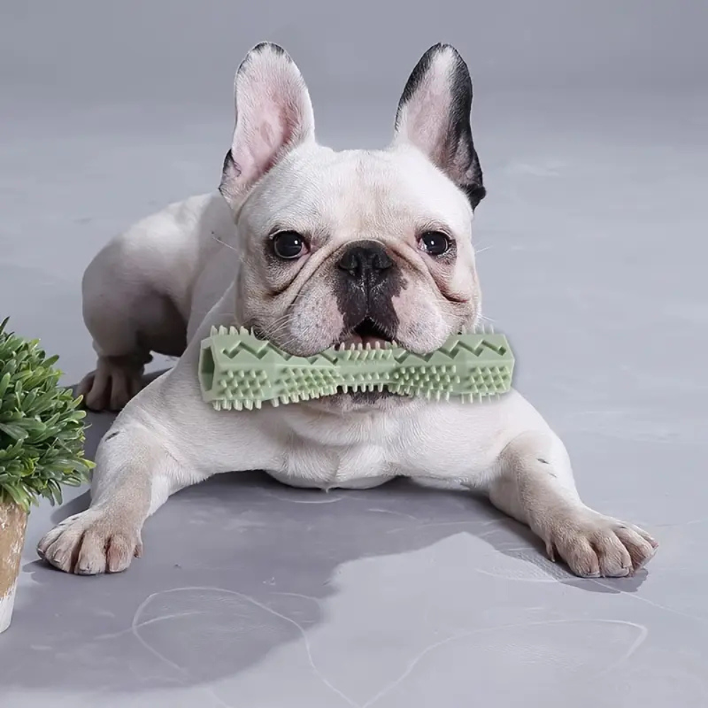 Soft Rubber Molar Chew Stick for Dogs