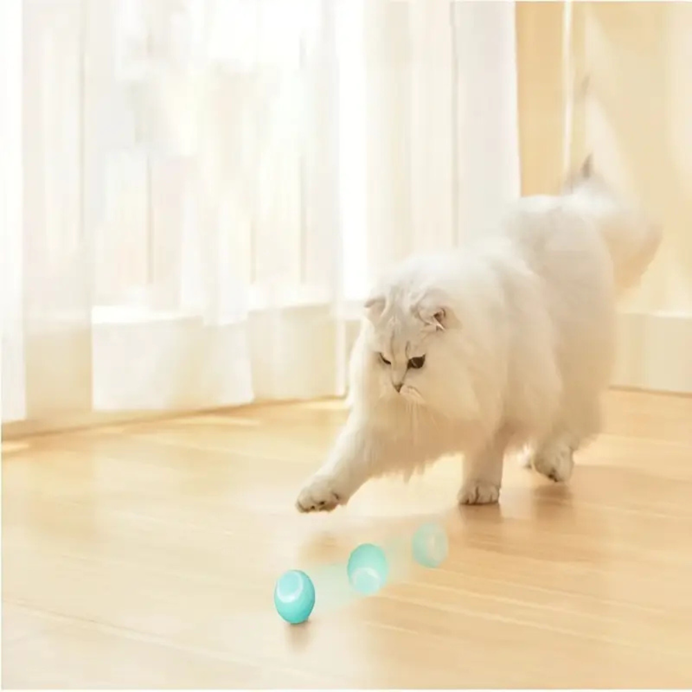 Automatic Interactive Ball for Playful Cats
