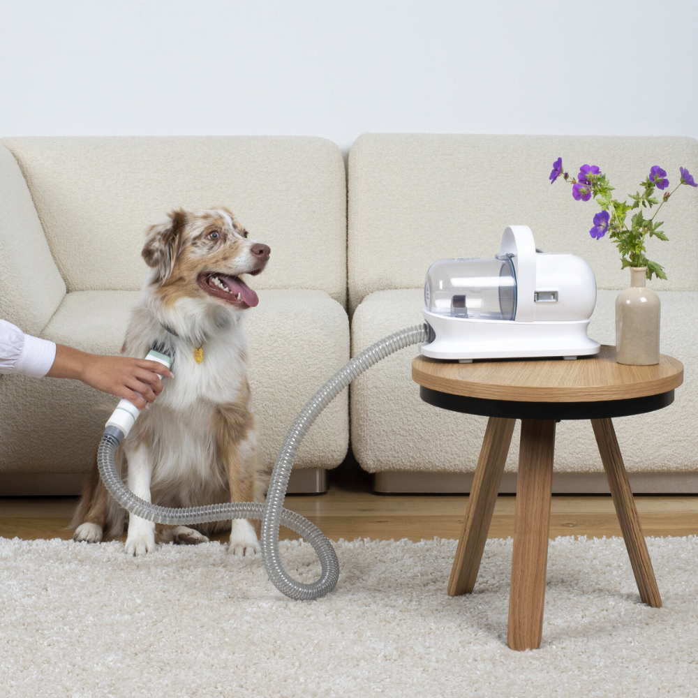 Pet Hair Vacuum Cleaner
