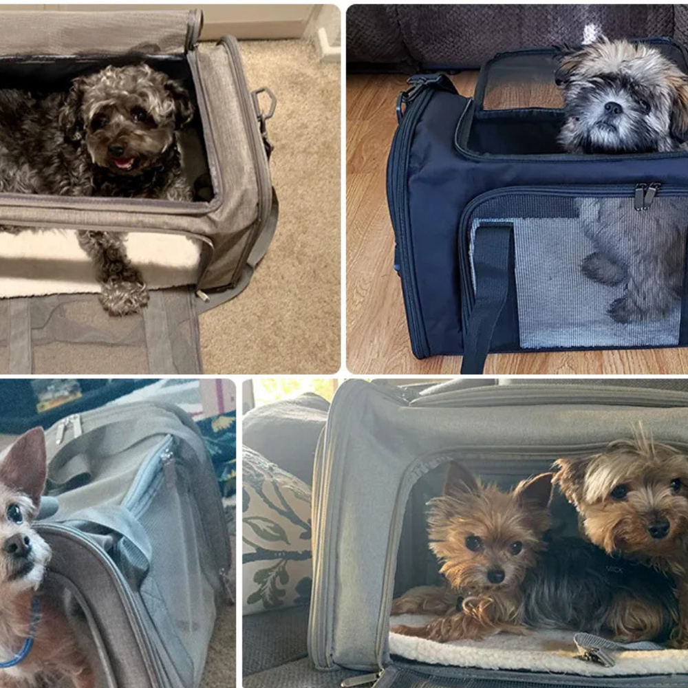 Foldable Breathable Travel Bag for Cats