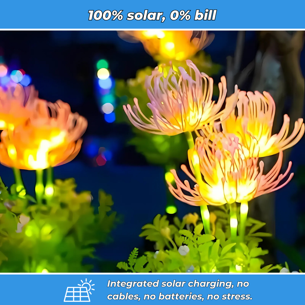 Solar-powered decorative garden lights (Set of 2)