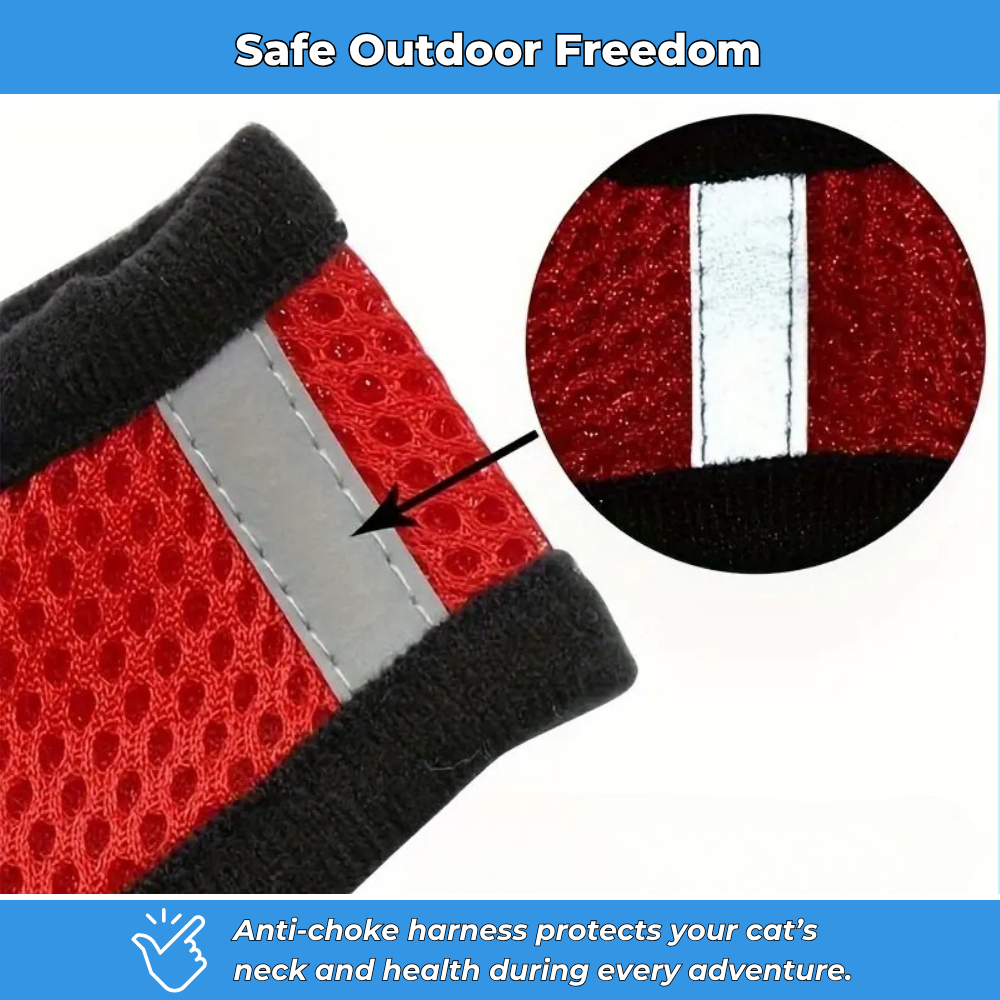 Secure Harness with Lead for Adventurous Cats