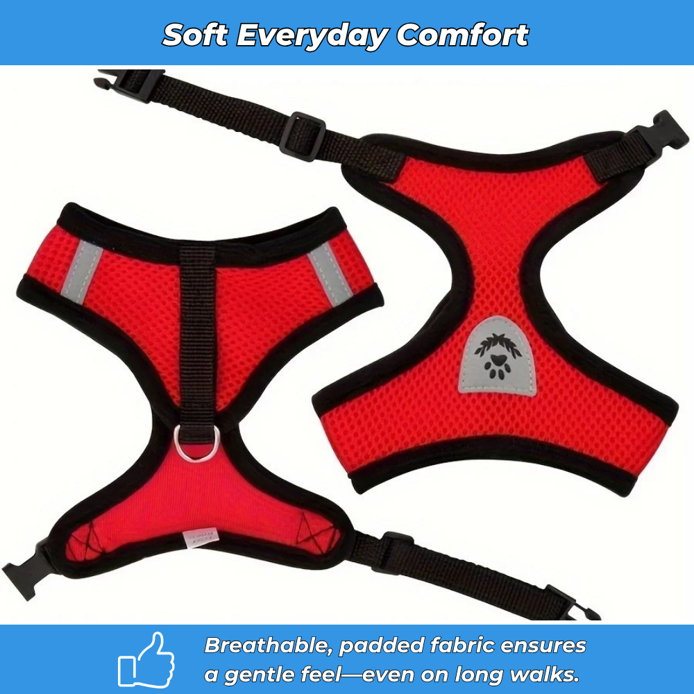 Secure Harness with Lead for Adventurous Cats