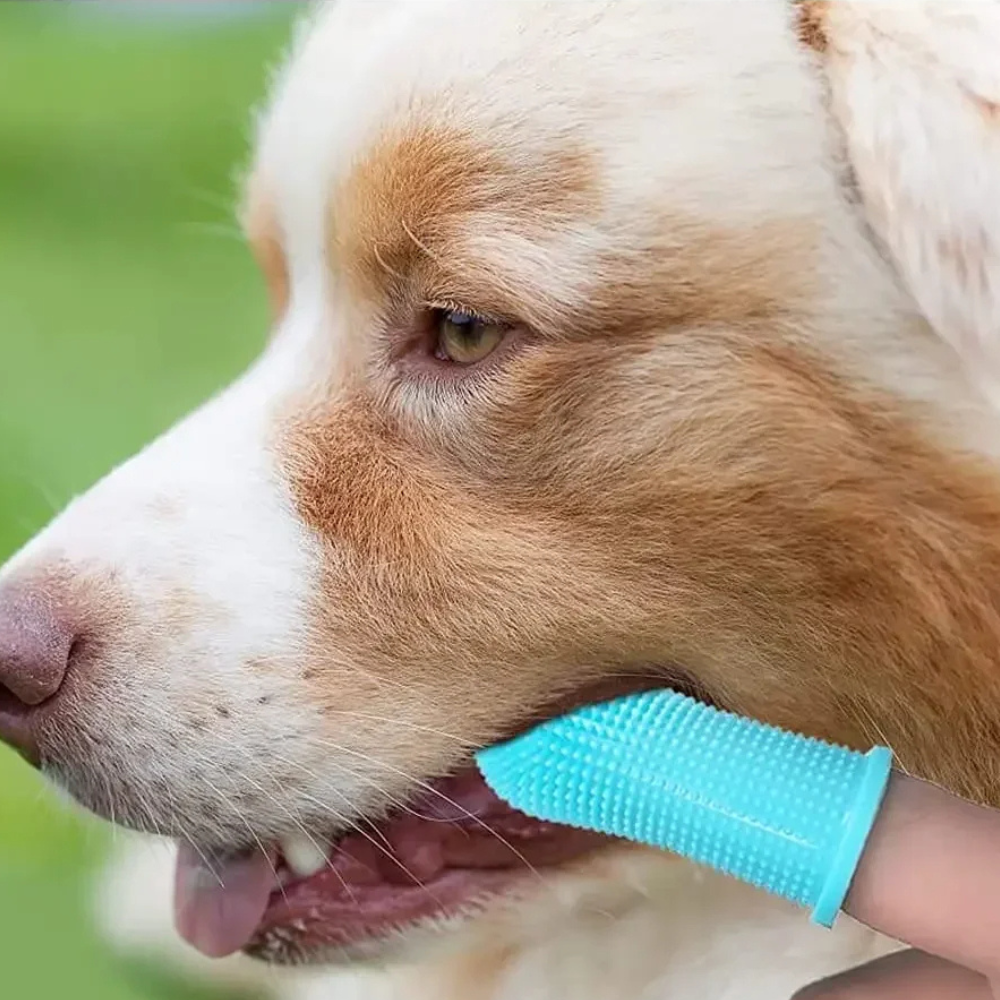 Silicone Toothbrush for Dogs and Cats