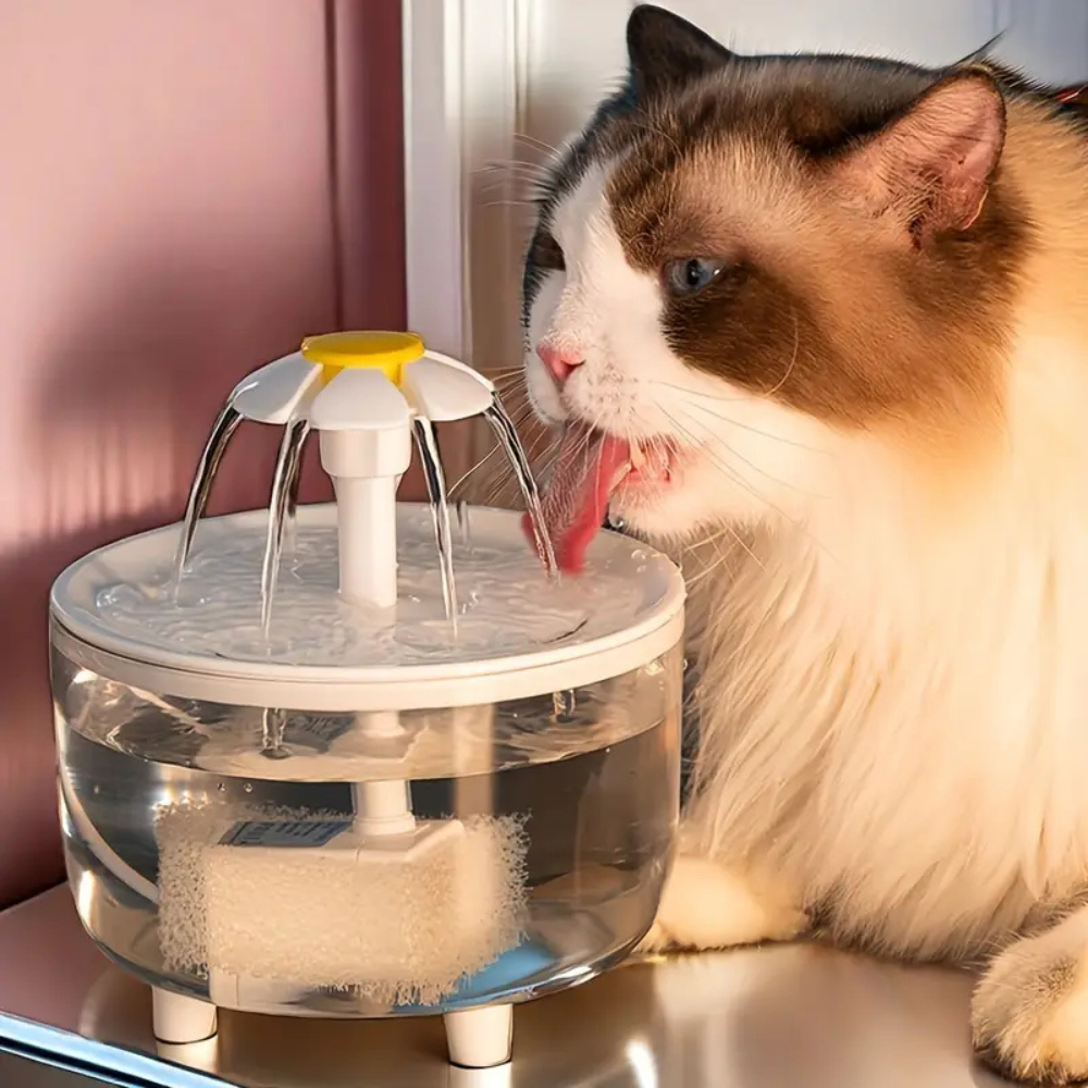 AquaCat – Fresh Water Filtering Fountain for Cats