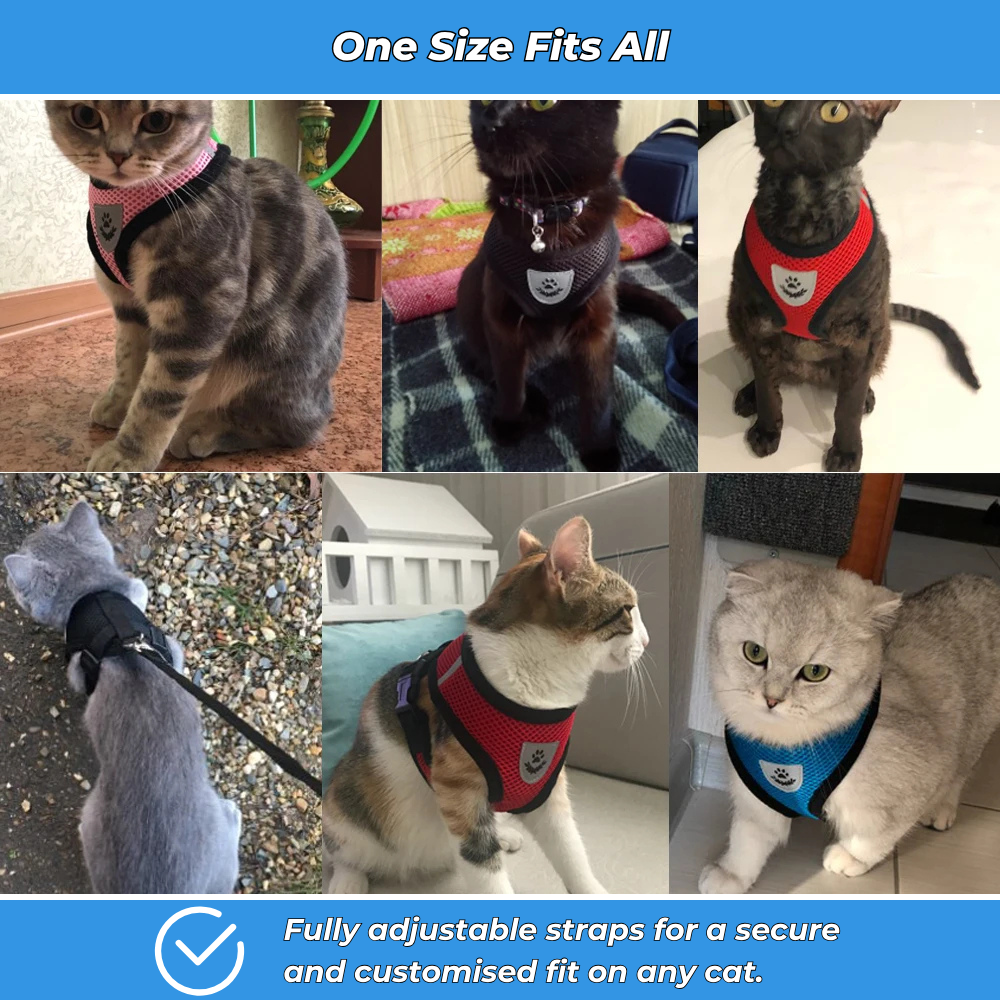 Secure Harness with Lead for Adventurous Cats