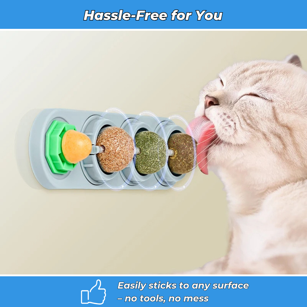 VetCat – Wall-Mounted Cat Toy with Natural Herbs