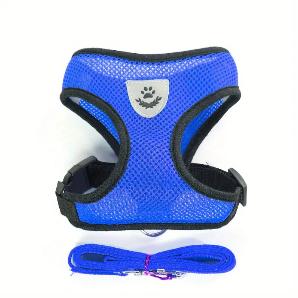 Secure Harness with Lead for Adventurous Cats
