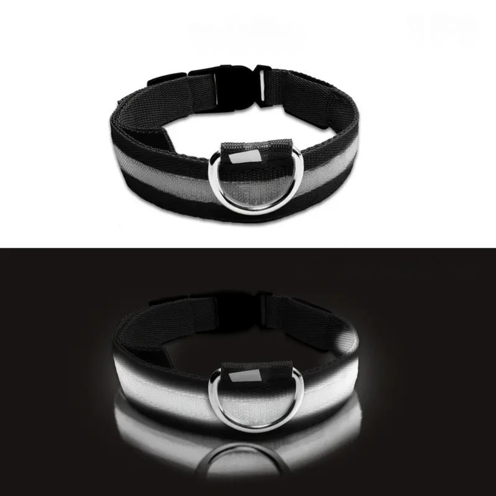 LED Light-Up Dog Collar