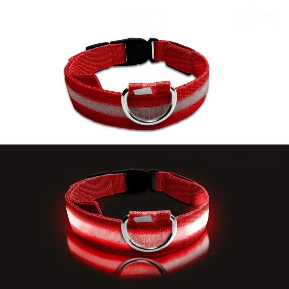 LED Light-Up Dog Collar