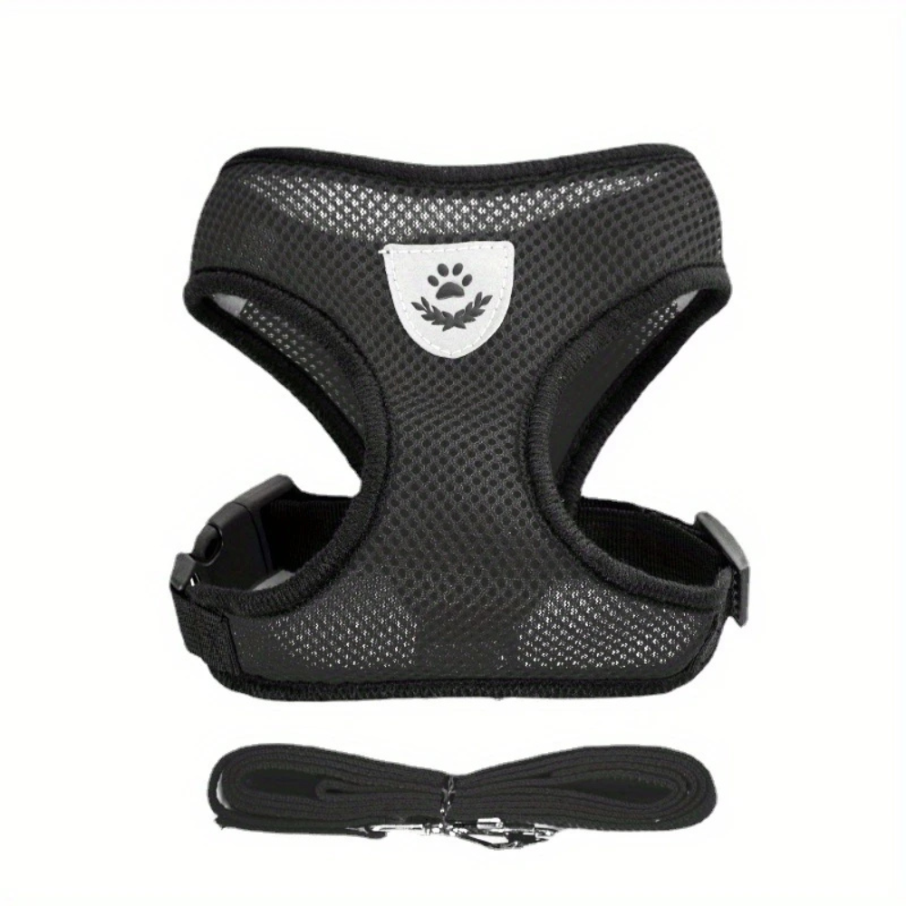 Secure Harness with Lead for Adventurous Cats