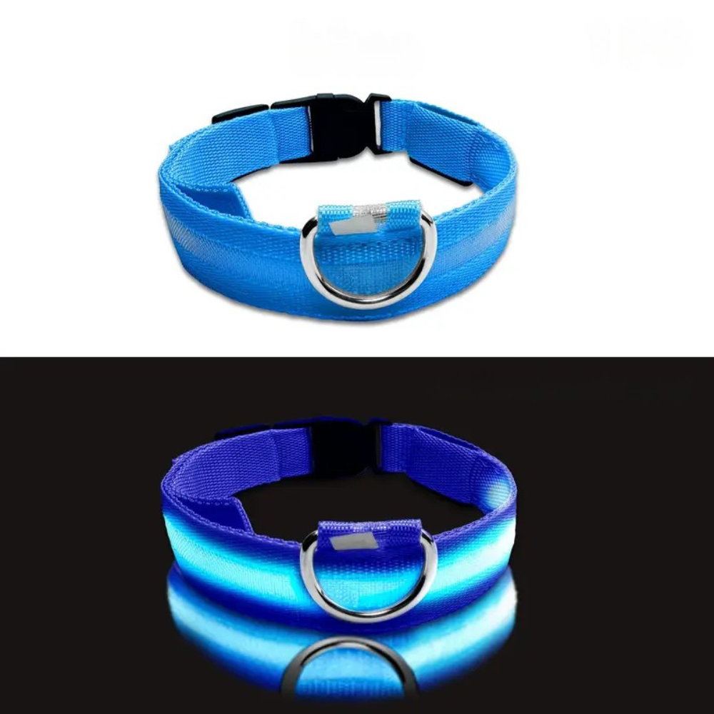 LED Light-Up Dog Collar