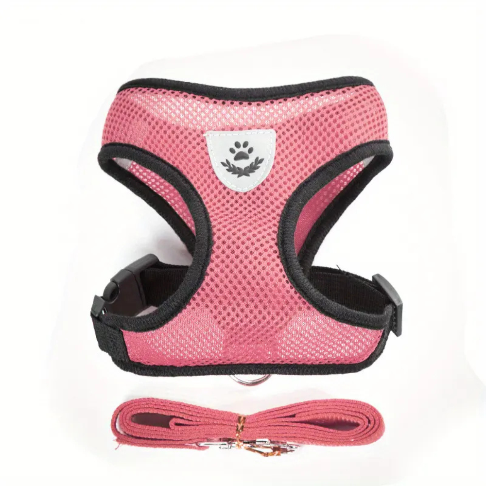 Secure Harness with Lead for Adventurous Cats