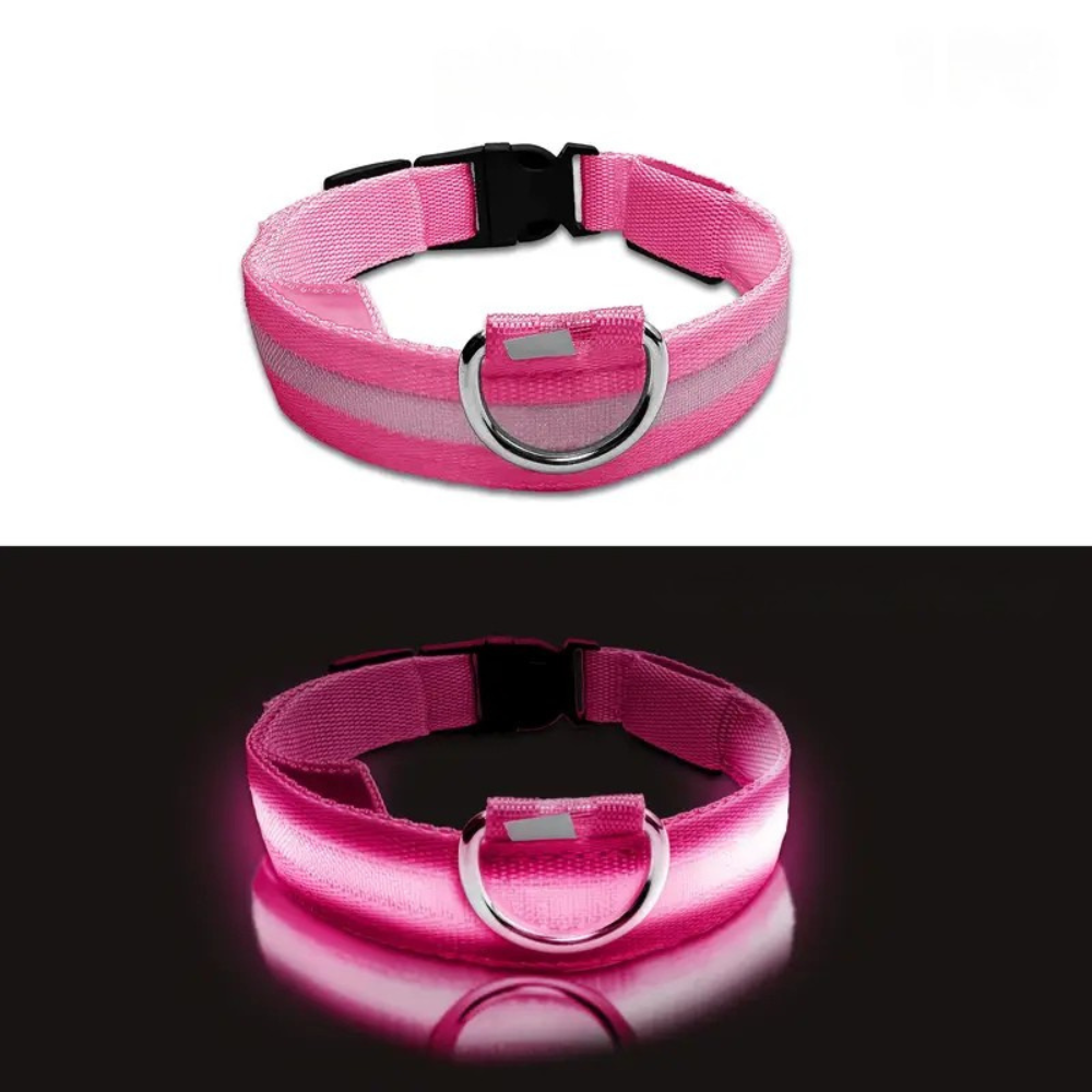 LED Light-Up Dog Collar