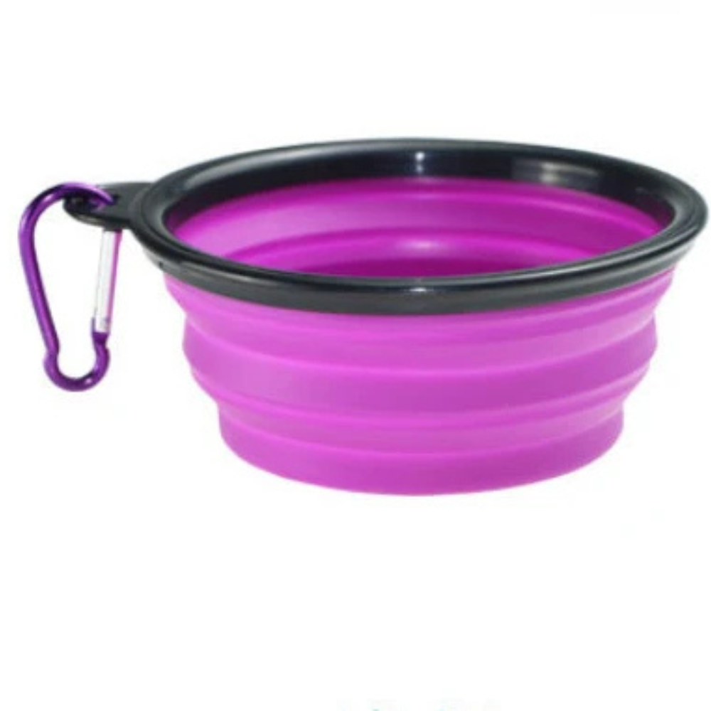 Foldable bowl for dogs and cats