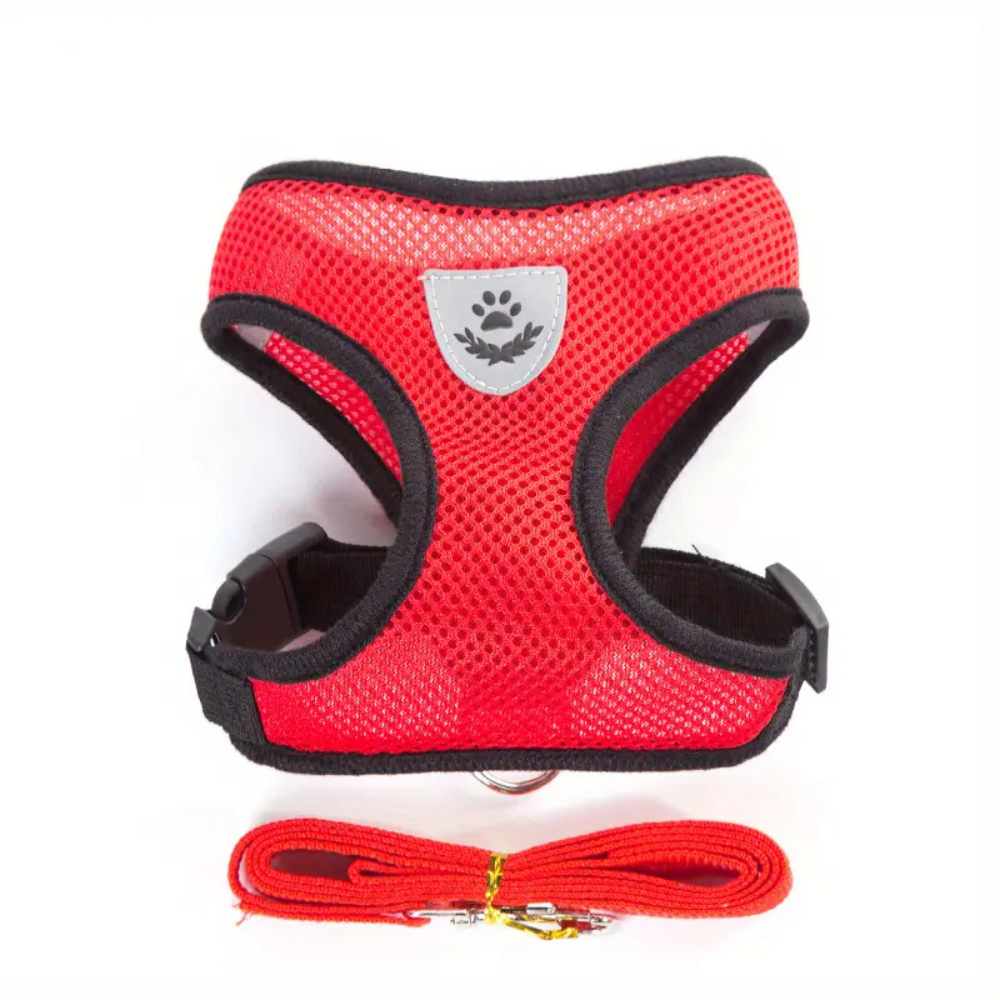 Secure Harness with Lead for Adventurous Cats
