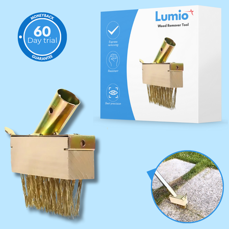 Weed Remover Tool with V-shaped Wire Brush &amp; Blade Scraper